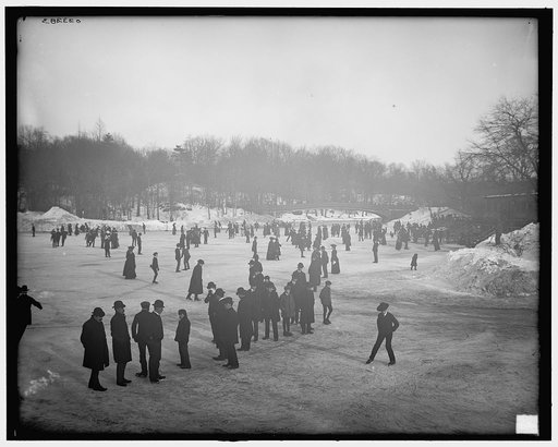 Skating in Central Park, New York, N.Y.