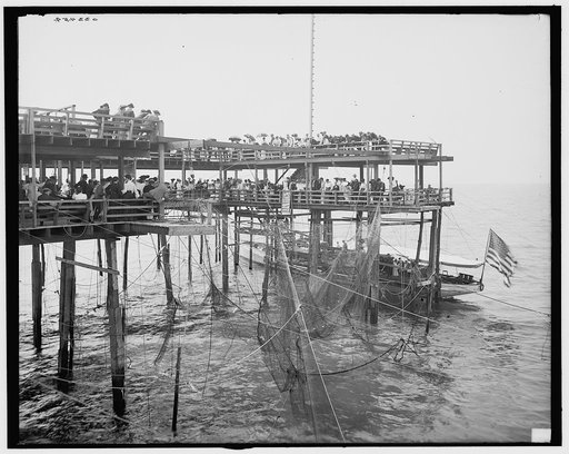Hauling the nets, Young's Pier, Atlantic City, N.J.