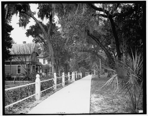 Residences on Ridgewood Avenue, Daytona, Fla.