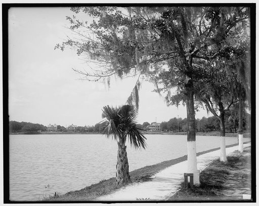 Lake Lucerne, Orlando, Florida