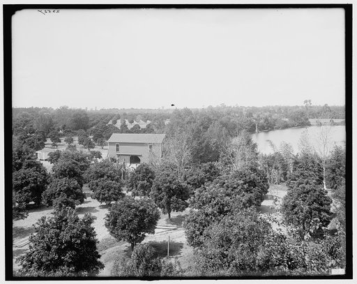 Orange groves on Lake Concord, Orlando, Florida