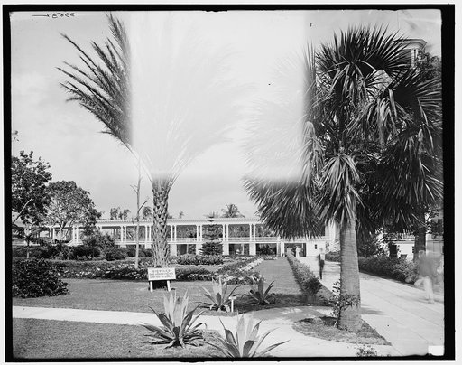 Poinciana gardens, Palm Beach, Florida