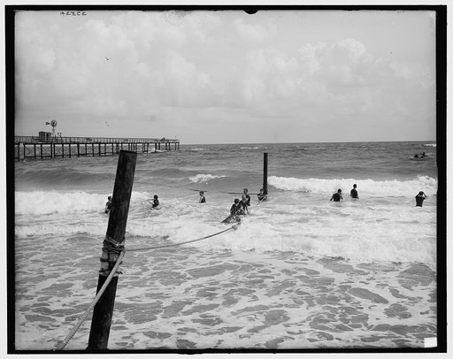 Surf bathing, Palm Beach, Fla.