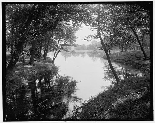 View in Deering Park, Portland, Me.