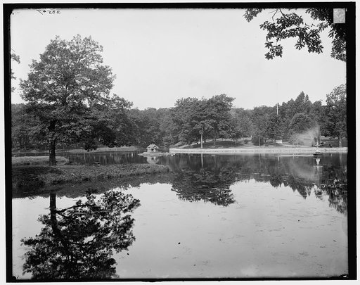 View in Deering Park, Portland, Me.