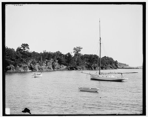 A Bit of shore at Little Diamond Island, Maine