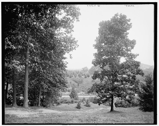 View in Highland Park, Rochester, N.Y.