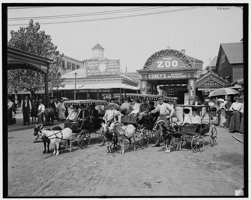 The Goat carriages, Coney Island, New York, N.Y.