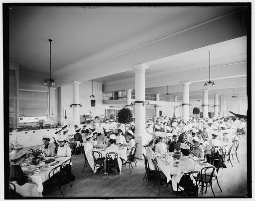 Natural Food Company conservatory, girl's luncheon, Niagara, N.Y.