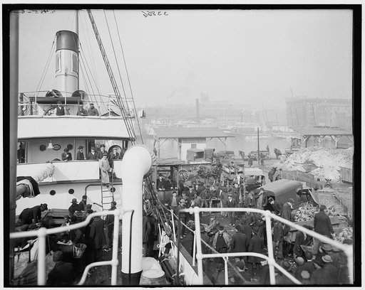 Unloading a banana steamer, Baltimore, Maryland