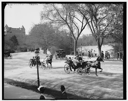 The Driveway, Central Park, New York City