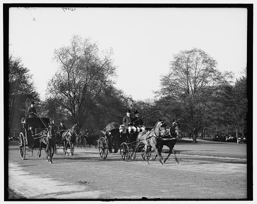 The Driveway, Central Park, New York City