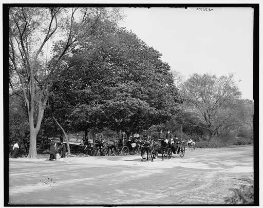 The Driveway, Central Park, New York City