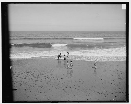 Sea shore, first lessons