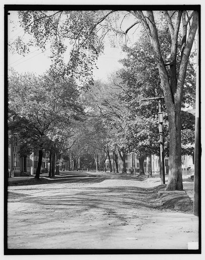 Essex Street, looking toward library, Salem, Mass.