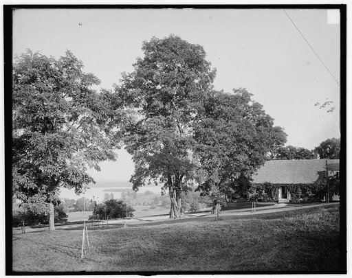 Overlooking lake at Center Harbor, Lake Winnipesaukee, N.H.