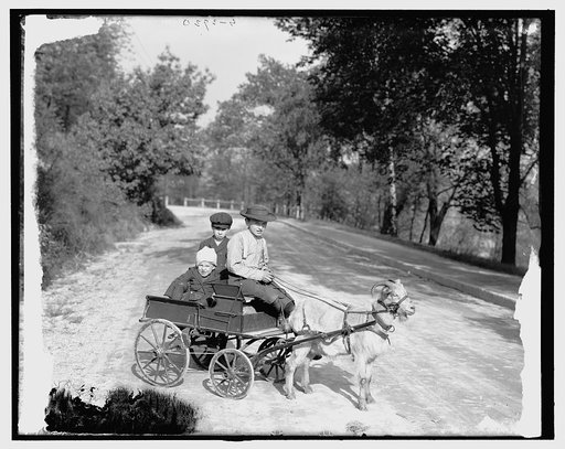 Goat wagon in Eden Park, Cincinnati, Ohio