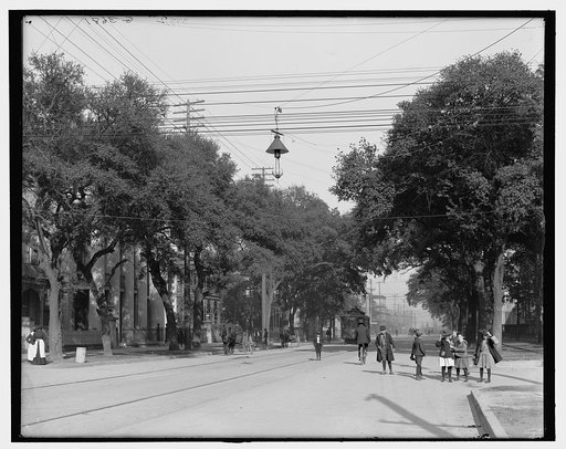 Government Street, Mobile, Ala.