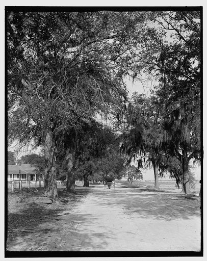 Bay Shell Road, Mobile, Ala.
