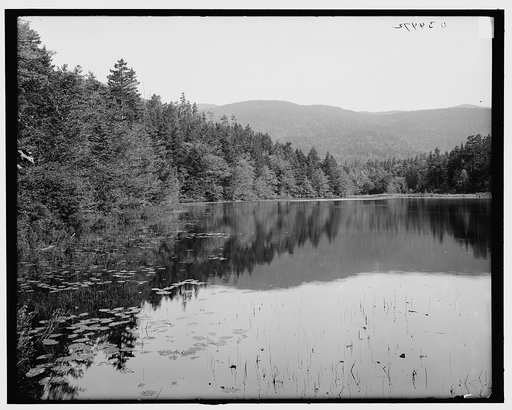 Ammonoosuc Lake, White Mtns., N.H.