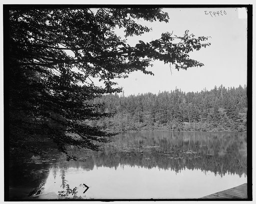Ammonoosuc Lake, White Mtns., N.H.