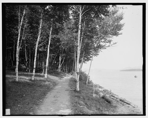 Shore path at Cleverdale, Lake George, N.Y.