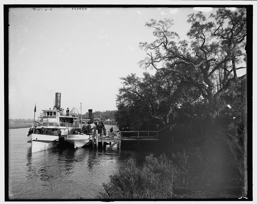 Steamer landing, Magnolia-on-the-Ashley (Magnolia Gardens), Charleston, S.C.