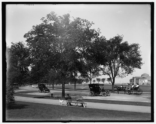 Driveway, Jackson Park, Chicago, Ill.