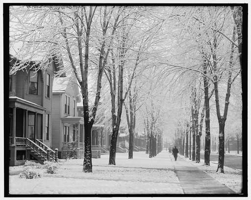 A Winter morning