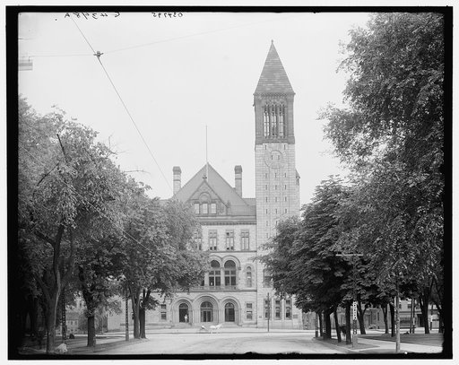 City Hall, Albany, N.Y.