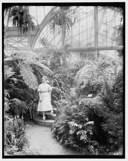 Fernery, Horticultural Building, Belle Isle Park, Detroit, Mich.