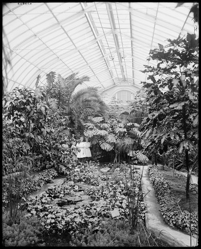 Lily pond, Horticultural Building, Detroit, Mich.