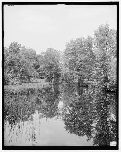 Lily pond, Mount Holyoke College, South Hadley, Mass.