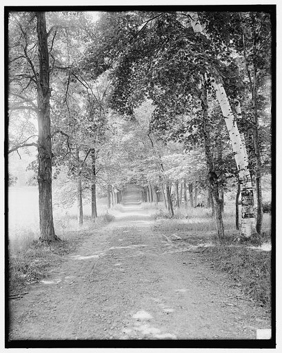 Avenue in Mount Holyoke College grounds, South Hadley, Mass.