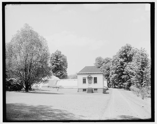 Talcott Arboretum, Mount Holyoke College, South Hadley, Mass.