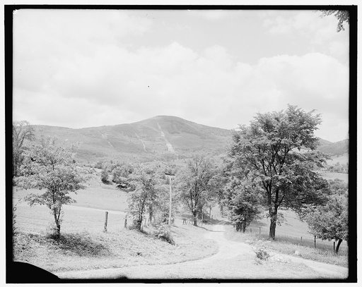 Greylock Mountain, Adams, Mass.