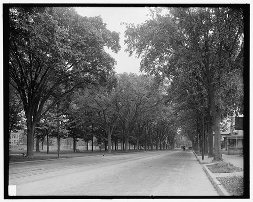 State Street south from Walnut, Springfield, Mass.