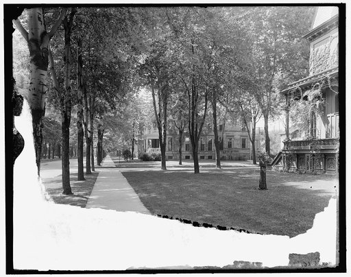 A Residential street, Detroit, Mich.