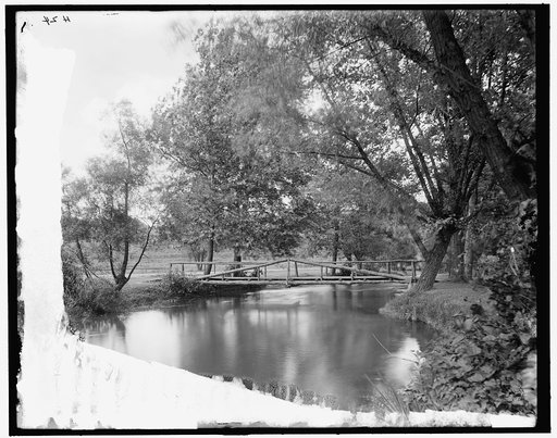 Rustic bridge in park, Ann Arbor, Mich.
