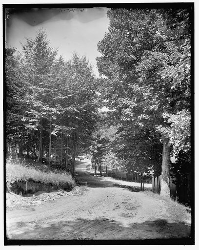 A Roadway in city park, Sault Sainte Marie, Mich.