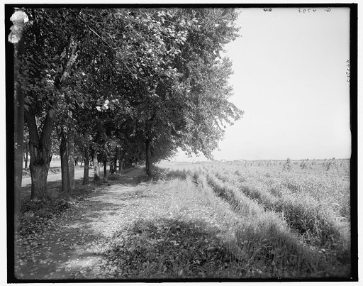 Bicycle path near Minnehaha Falls, Minneapolis, Minn.