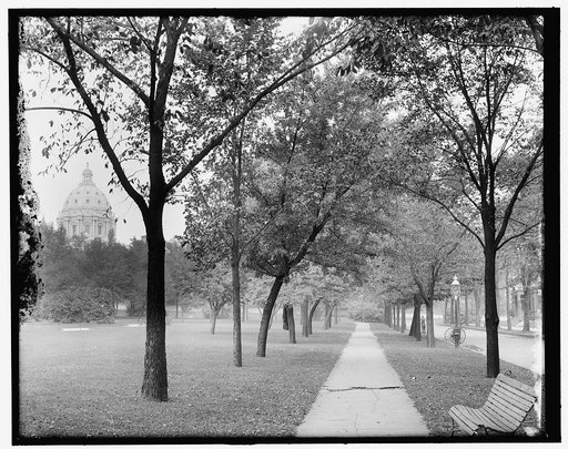 Capitol dome from Central Park, St. Paul, Minn.