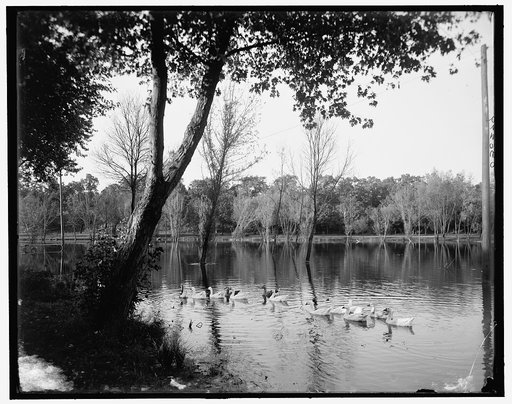 Lake Como, Como Park, St. Paul, Minn.