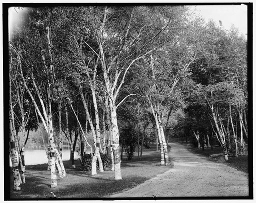 A Roadway, Como Park, St. Paul, Minn.