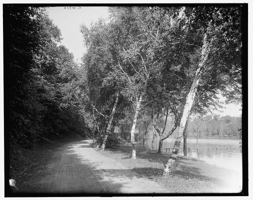 A Shady drive, Como Park, St. Paul, Minn.