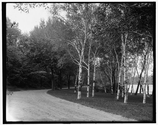 A Turn in the road, Como Park, St. Paul, Minn.