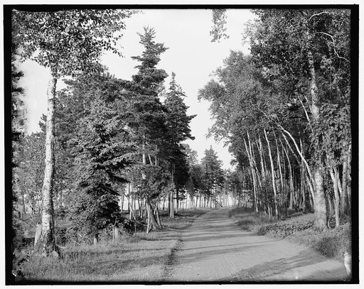 Lower boulevard, Mackinac Island, Mich.