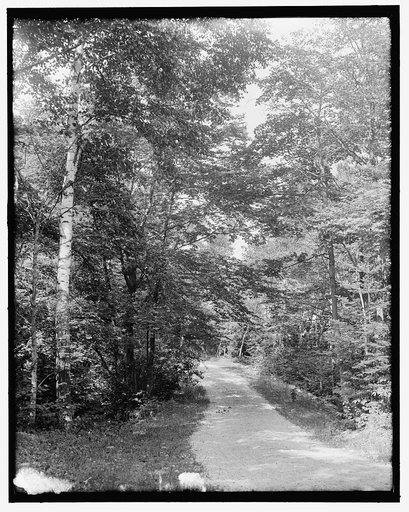 Leslie Drive, Mackinac Island, Mich.