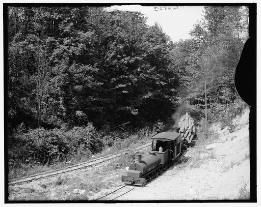 Logging train, Harbor Springs, Mich.