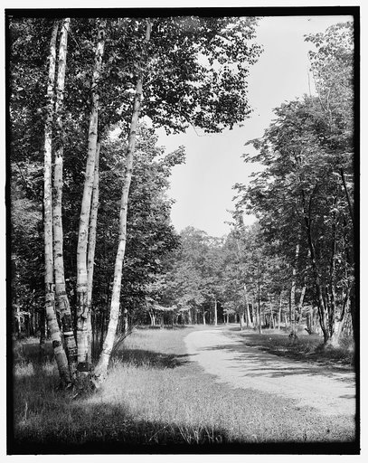 A Turn in the road, Presque Isle Park, Marquette, Mich.